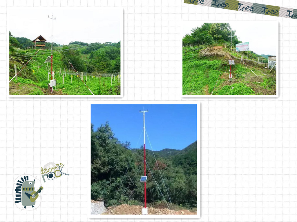 森林气象站如何预防秋冬季节的森林火灾发生(图1)