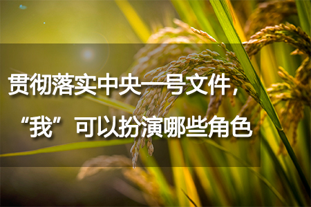 贯彻落实中央一号文件，“我”可以扮演哪些角色？