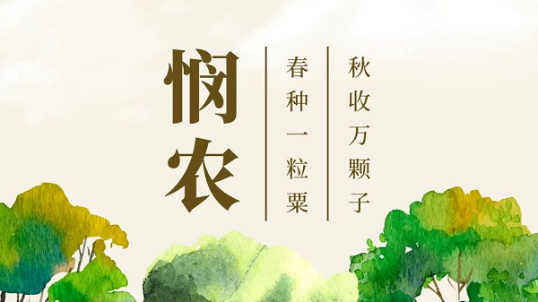 贯彻落实中央一号文件，“我”可以扮演哪些角色？(图1)