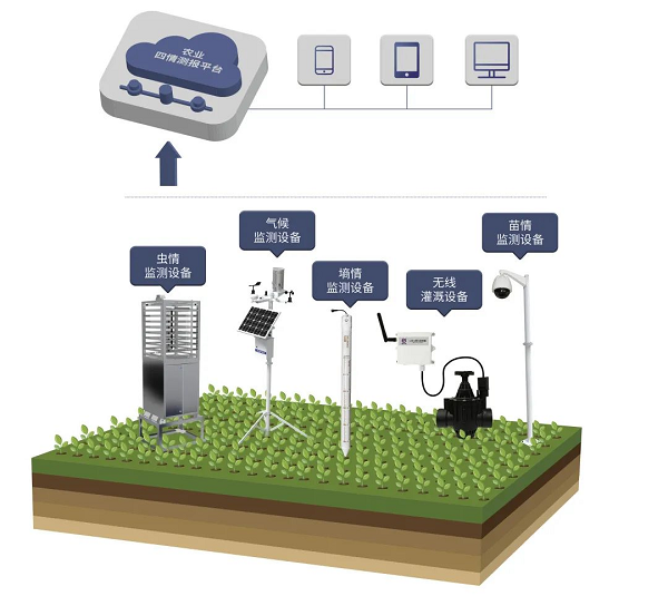 贯彻落实中央一号文件，“我”可以扮演哪些角色？(图5)