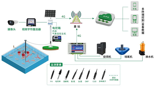 贯彻落实中央一号文件，“我”可以扮演哪些角色？(图6)