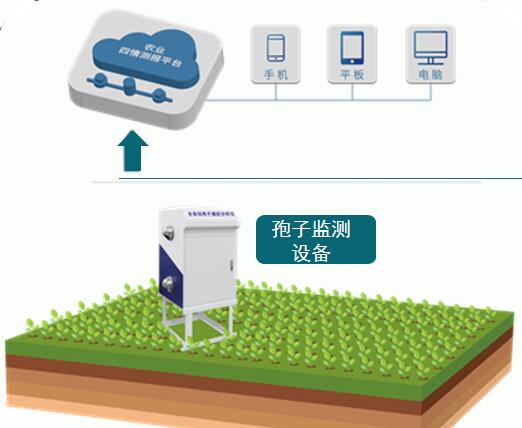 智能孢子远程监测系统(图4)