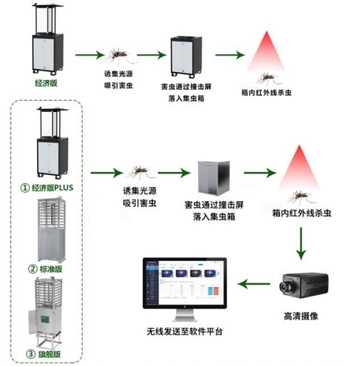 虫情监测解决方案(图1)