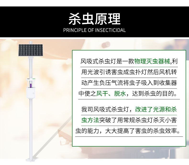 风吸式杀虫灯(图6)