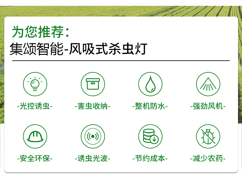 风吸式杀虫灯(图4)