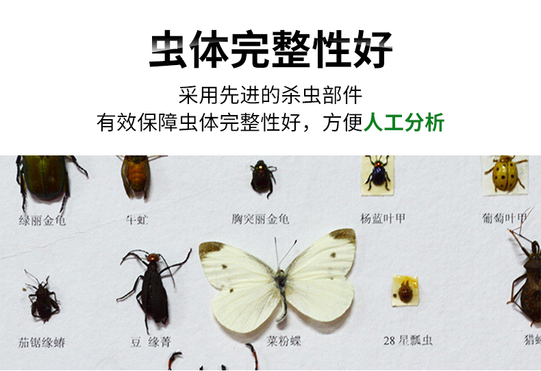 风吸式杀虫灯(图16)