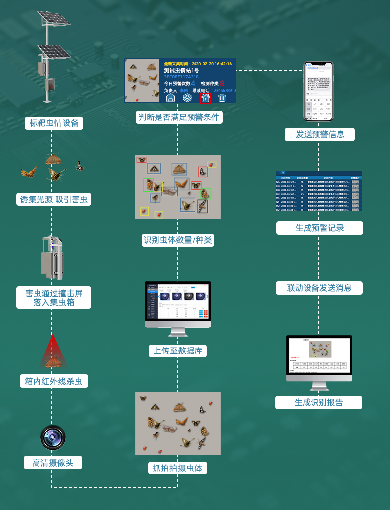 标靶虫情监测(图6)